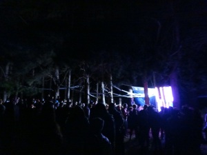 Forest stage